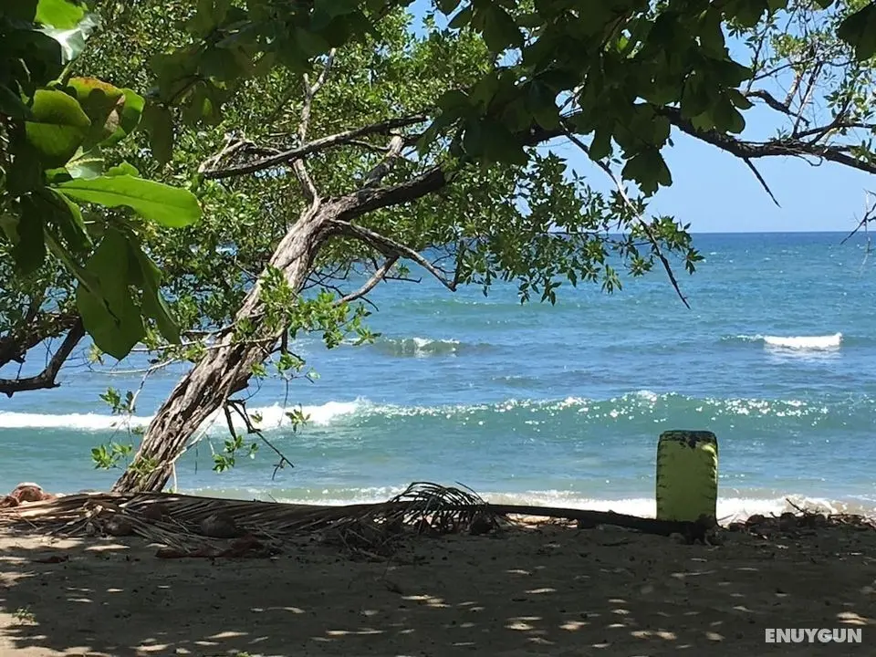 You Imagine Costa Rica Our Location Being on the Beach is What You Imagine - Öne Çıkan Resim