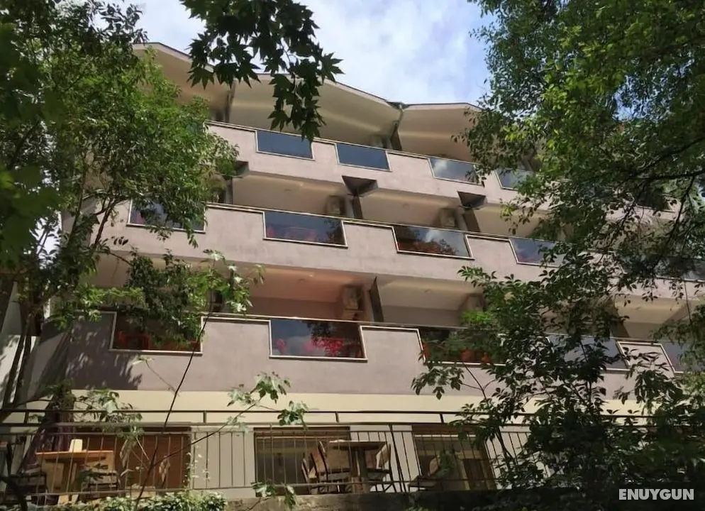 Yuvarlakcay Cinar Butik Otel - Öne Çıkan Resim