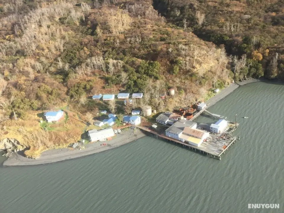 Zachar Bay Lodge Inc - Dış Mekan