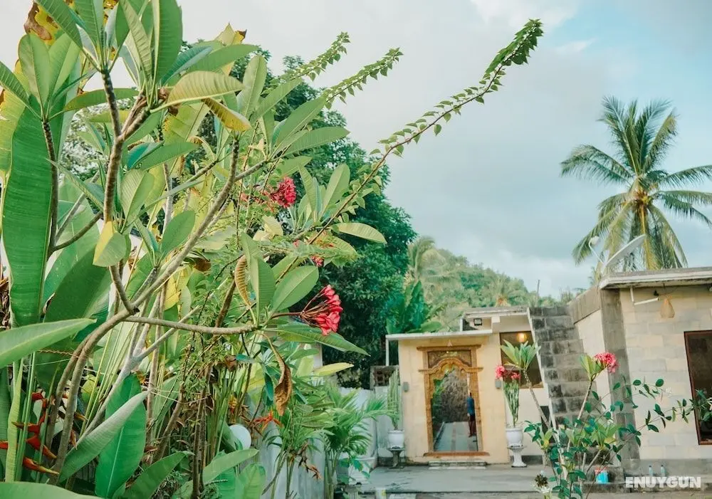 Zam Zam Anjani Villa - Dış Mekan
