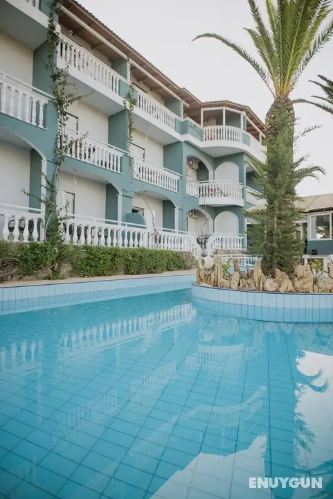 Zante Calinica - Genel