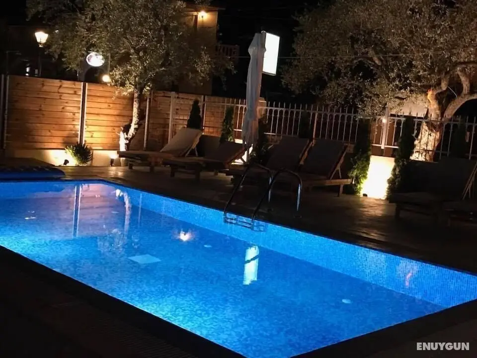 Zante Flower - Öne Çıkan Resim