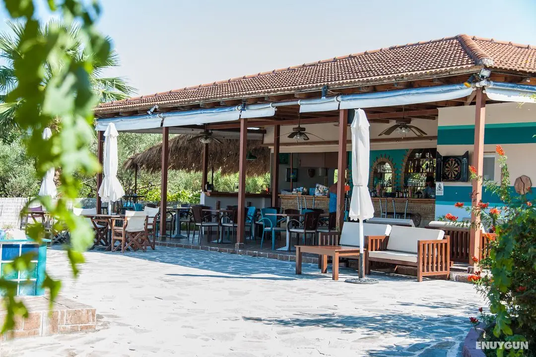 Zante Nest - Genel
