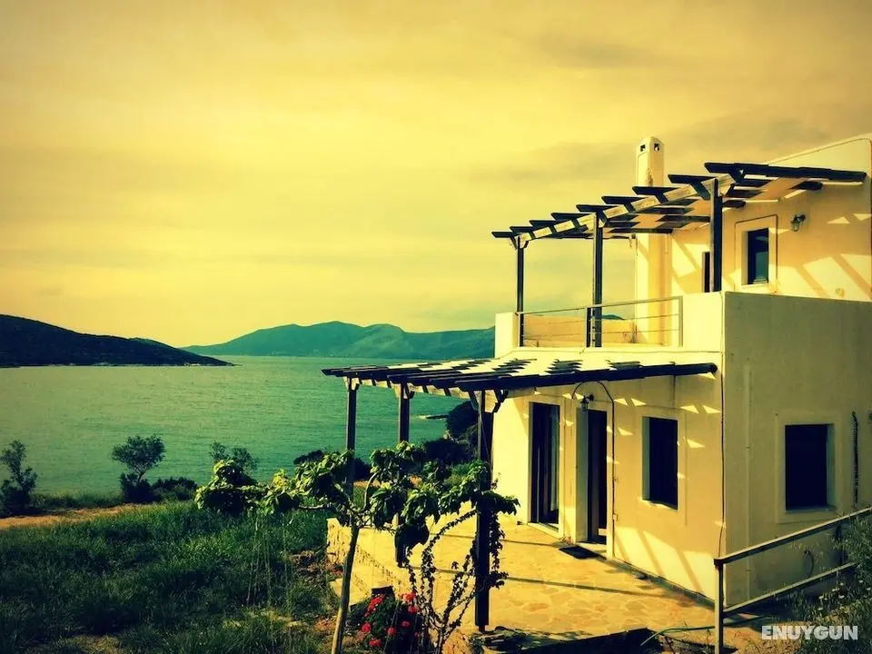 Zastani House 2 - Dış Mekan
