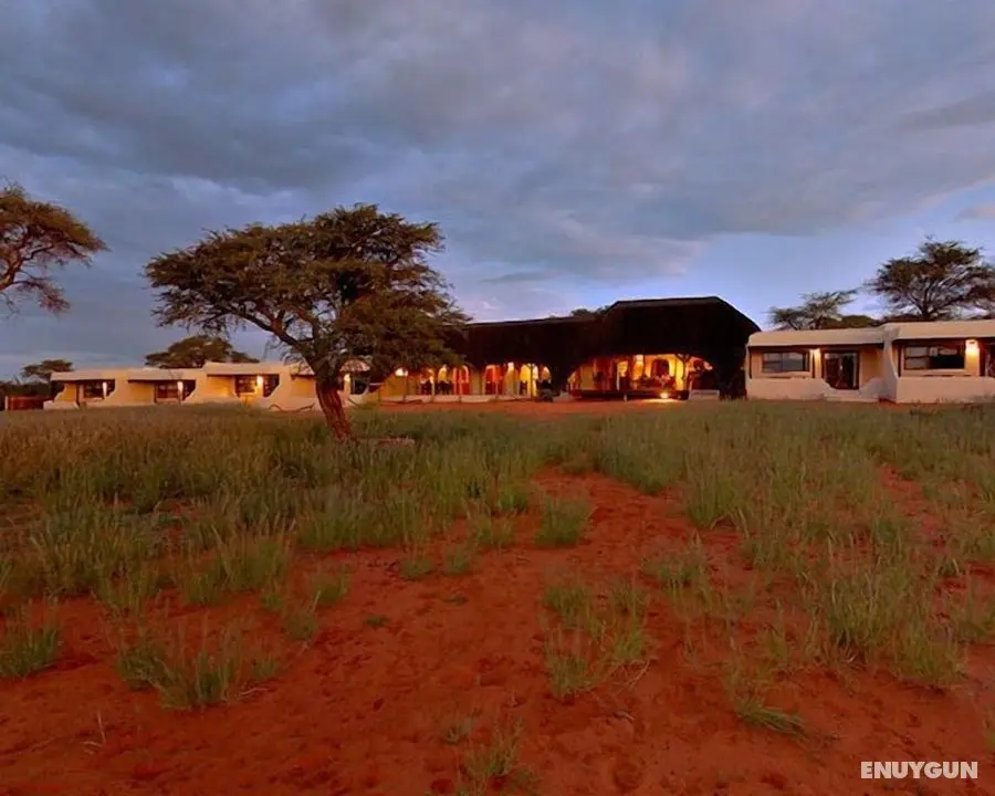 Zebra Kalahari Lodge - Öne Çıkan Resim