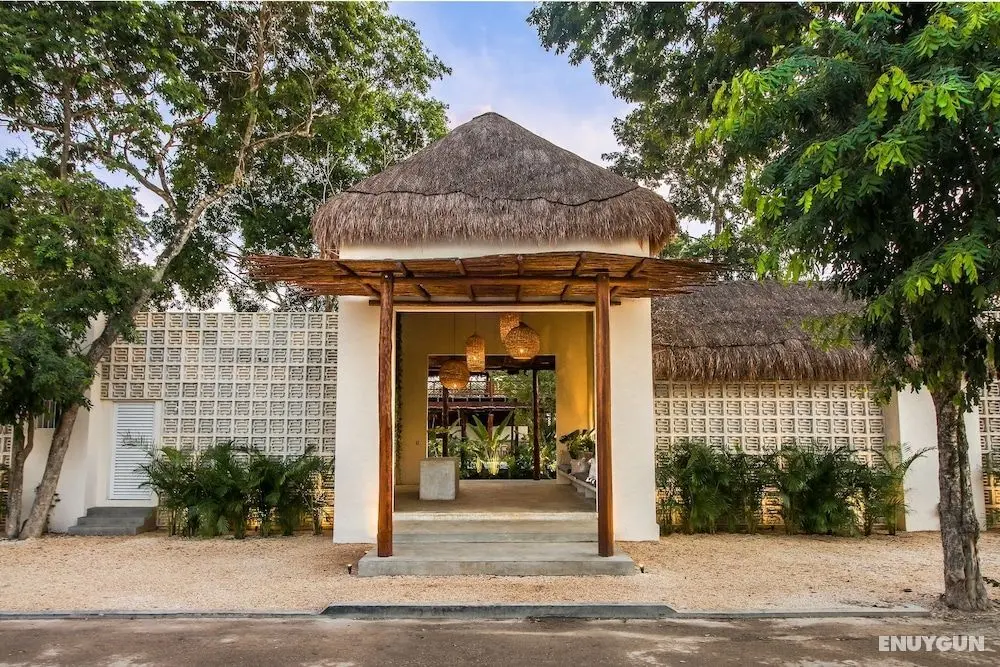 Zenses Wellness and Yoga Resort - Adults Only - Dış Mekan