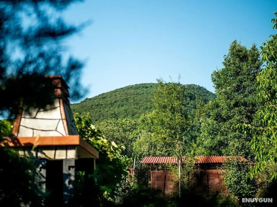 Zeusplace Valentinas House Elatochori - Dış Mekan