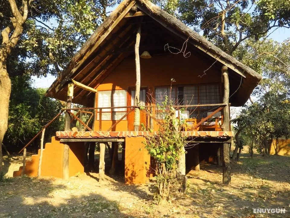 Zikomo Safari Camp - Öne Çıkan Resim