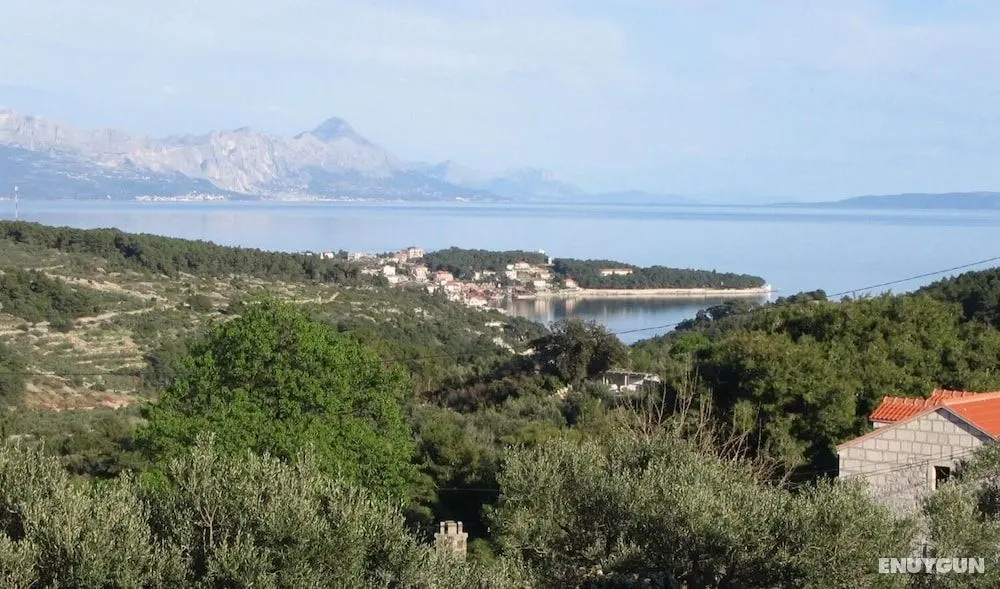 Zlatna - With Beautiful Garden - H - Öne Çıkan Resim