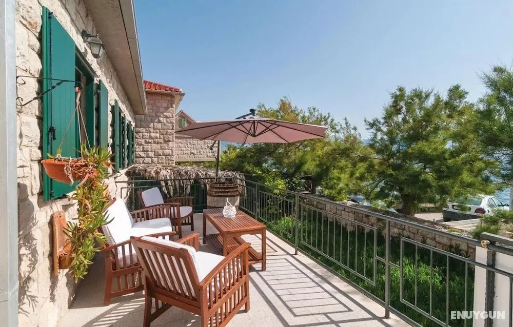 Zoki - Pool House - H - Öne Çıkan Resim