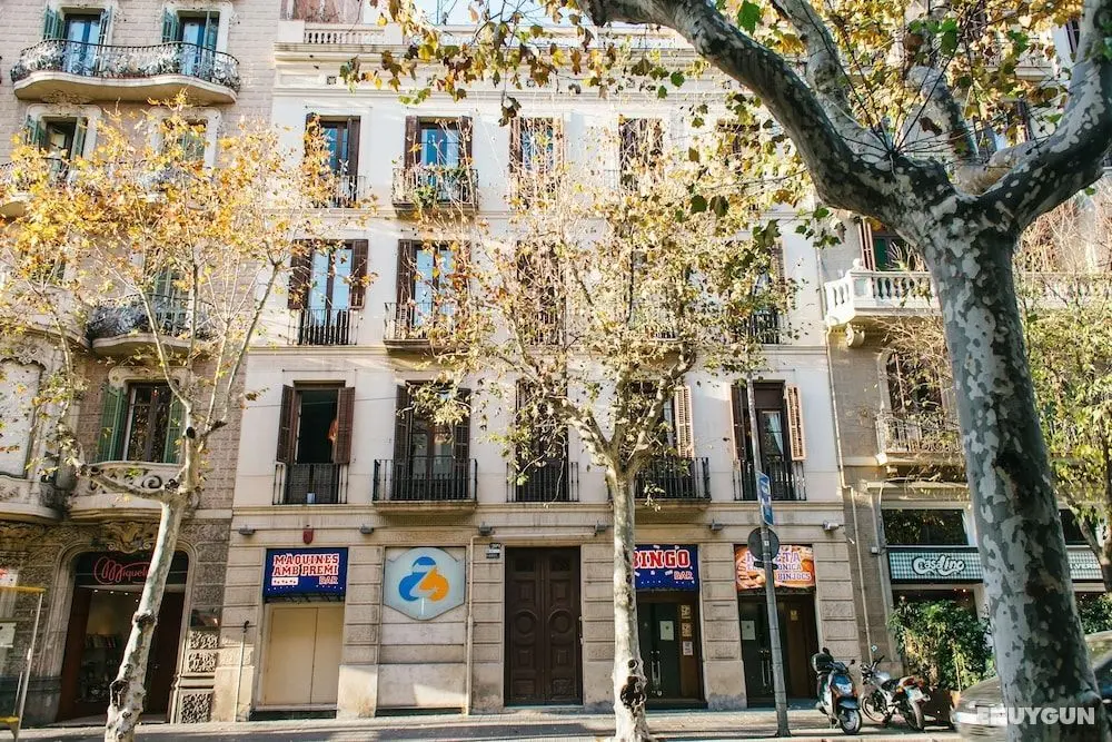 ZOOROOMS Boutique GuestHouse - Dış Mekan