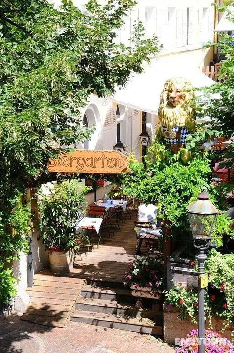 Hotel zum Goldenen Löwen - Genel