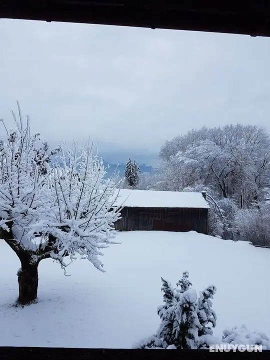 Zweite Heimat - Öne Çıkan Resim