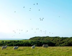 16 'petra' Bell Tent Glamping Anglesey Dış Mekan