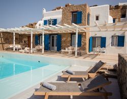 180 ° View PRIVATE Pool Villa Choulakia to enjoy SUN kissing SEA Dış Mekan