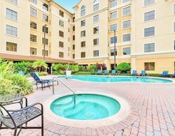 1BR With Two Queen Beds - Near Disney Oda