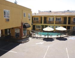 3 Palms Hotel Napa Valley Genel