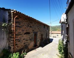400 Year old 3-bedroom Farmhouse Central Portugal Dış Mekan