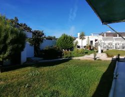 9arches - House With Pool - in the Heart of Portugal Dış Mekan