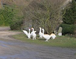 A La Ferme de la Joie Dış Mekan