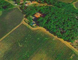 A Part of a Beautiful Mansion With View of the Chianti Classico Hills Dış Mekan