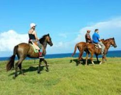 A Peace of Paradise St. Lucia Genel