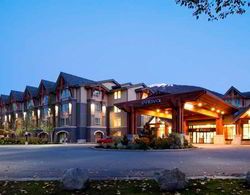 Aava Hotel Whistler Genel