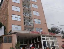 Addis View Hotel Dış Mekan
