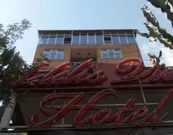 Addis View Hotel Dış Mekan