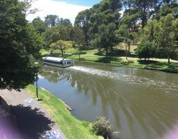 Adelaide Style Accommodation near City Genel