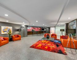 Adina Serviced Apartments Canberra James Court Genel