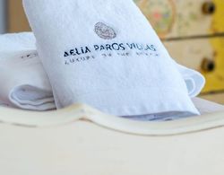 Aelia Paros Villas Superior Villa With Private Swimming Pool Oda