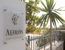 Aeolos Luxury Villas & Suites Dış Mekan