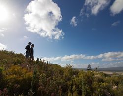 AfriCamps at Stanford Hills Estate- Glamping Genel