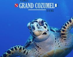 Agave Azul - Grand Cozumel, Hotel and Diving Genel