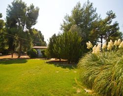 Villa Aggeliki Dış Mekan