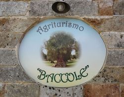 Agriturismo Baccole Dış Mekan