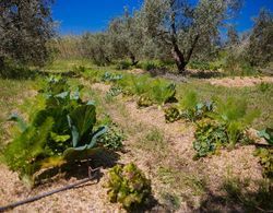 Agriturismo biologico Piccapane Dış Mekan