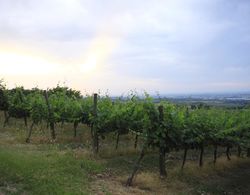 Agriturismo Borgo delle Vigne Dış Mekan