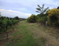 Agriturismo Borgo delle Vigne Dış Mekan