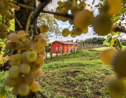 Agriturismo Borgo Imperiale Dış Mekan