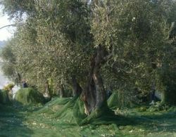 Agriturismo Giorgio Dış Mekan