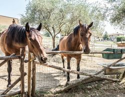 Agriturismo Goccia di Luna Genel