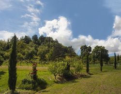 Agriturismo Il Cavicchio Dış Mekan