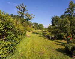 Agriturismo Il Cavicchio Dış Mekan