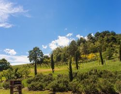 Agriturismo Il Cavicchio Dış Mekan