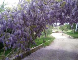 Agriturismo Il Granaio Dış Mekan