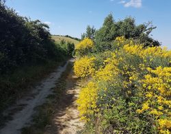 Agriturismo Piccola Raieda Genel