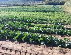 Agriturismo Sa Pramma Dış Mekan