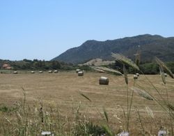 Agriturismo Sa Tiria Dış Mekan